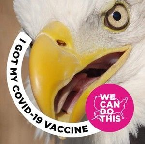 Meet your Posher, Arlene